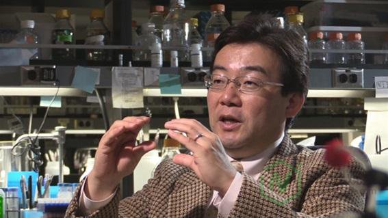 日本对长寿物质