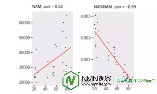 NMN中国:提升NAD+方式比较,烟酰胺/NAM可能是一个糟糕的策略